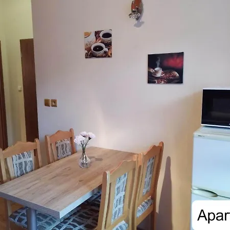 Dum Tamara Apartment Luhacovice Exterior photo
