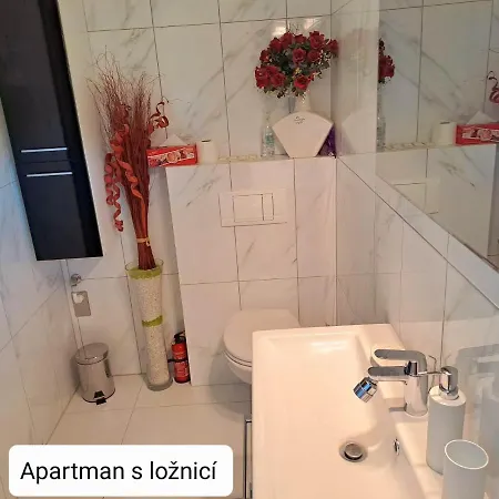Dum Tamara Apartment Luhacovice Exterior photo