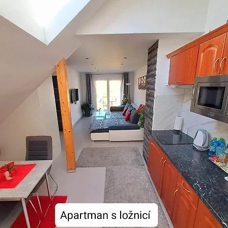 Dum Tamara Apartment Luhacovice Exterior photo