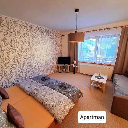 Dum Tamara Apartment Luhacovice Exterior photo