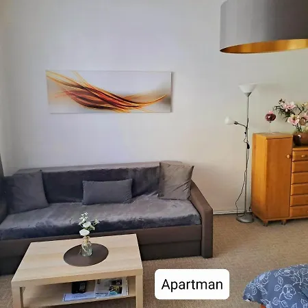 Dum Tamara Apartment Luhacovice Exterior photo