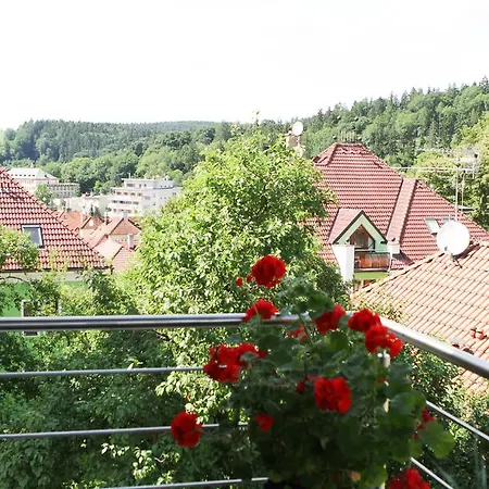 Dum Tamara Apartment Luhacovice Room photo