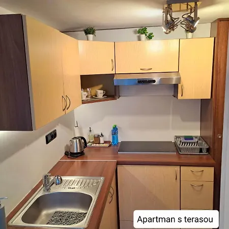 Dum Tamara Apartment Luhacovice Exterior photo