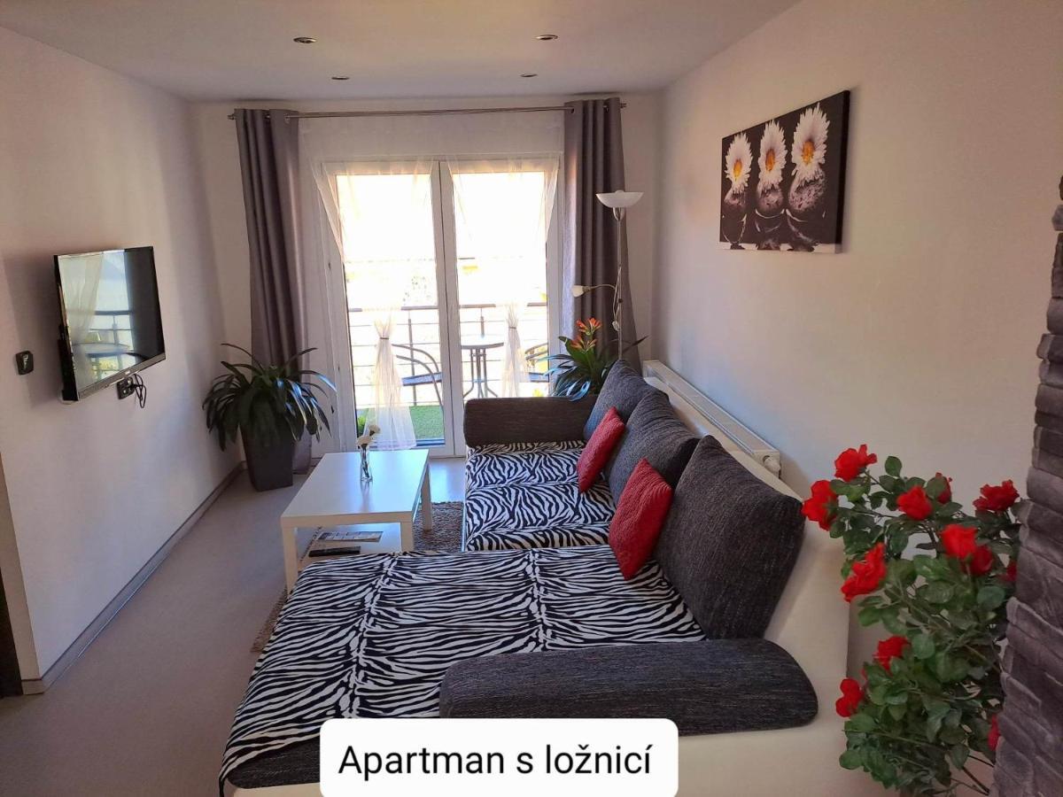 Dum Tamara Apartment Luhacovice