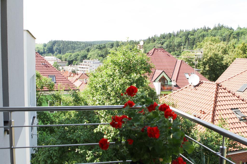 Dum Tamara Apartment